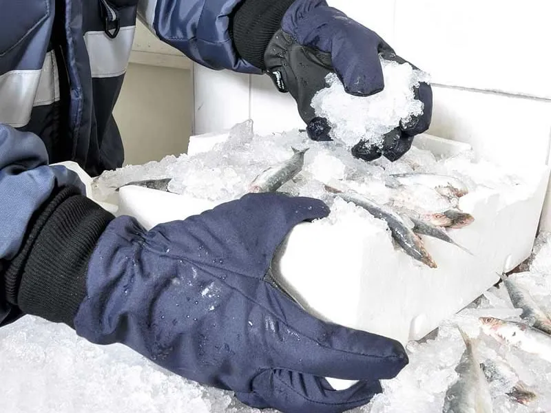 Guanti TUNDRA in pvc protezione dal freddo Cofra (12paia)
